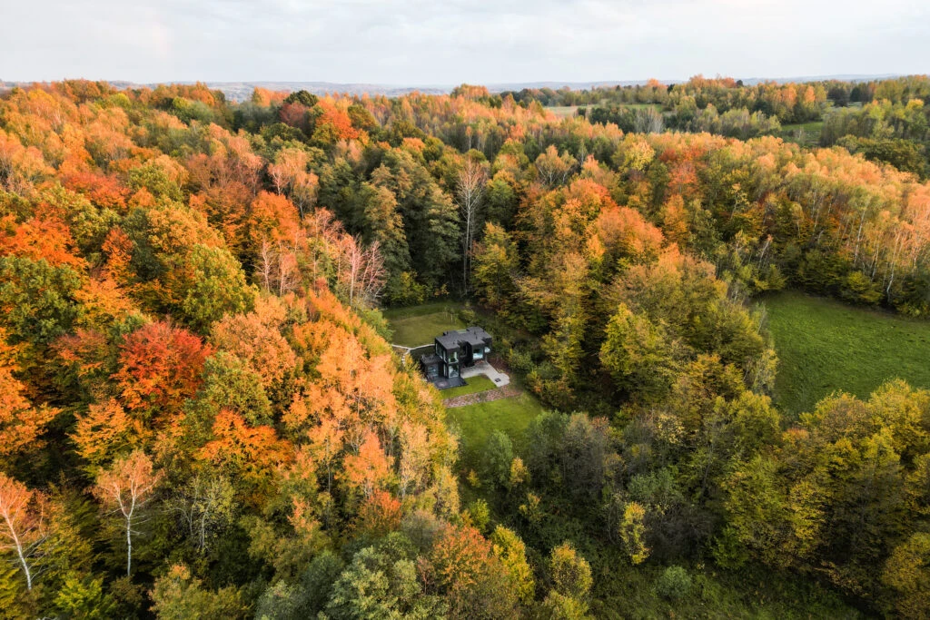 Polish Golden Autumn at Forrest Space